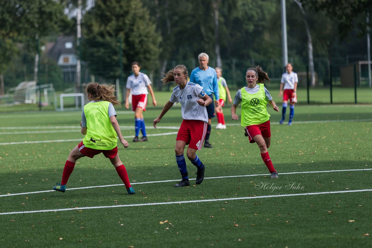 Bild 210 - C-Juniorinnen HSV - Walddoerfer : Ergebnis: 9:1